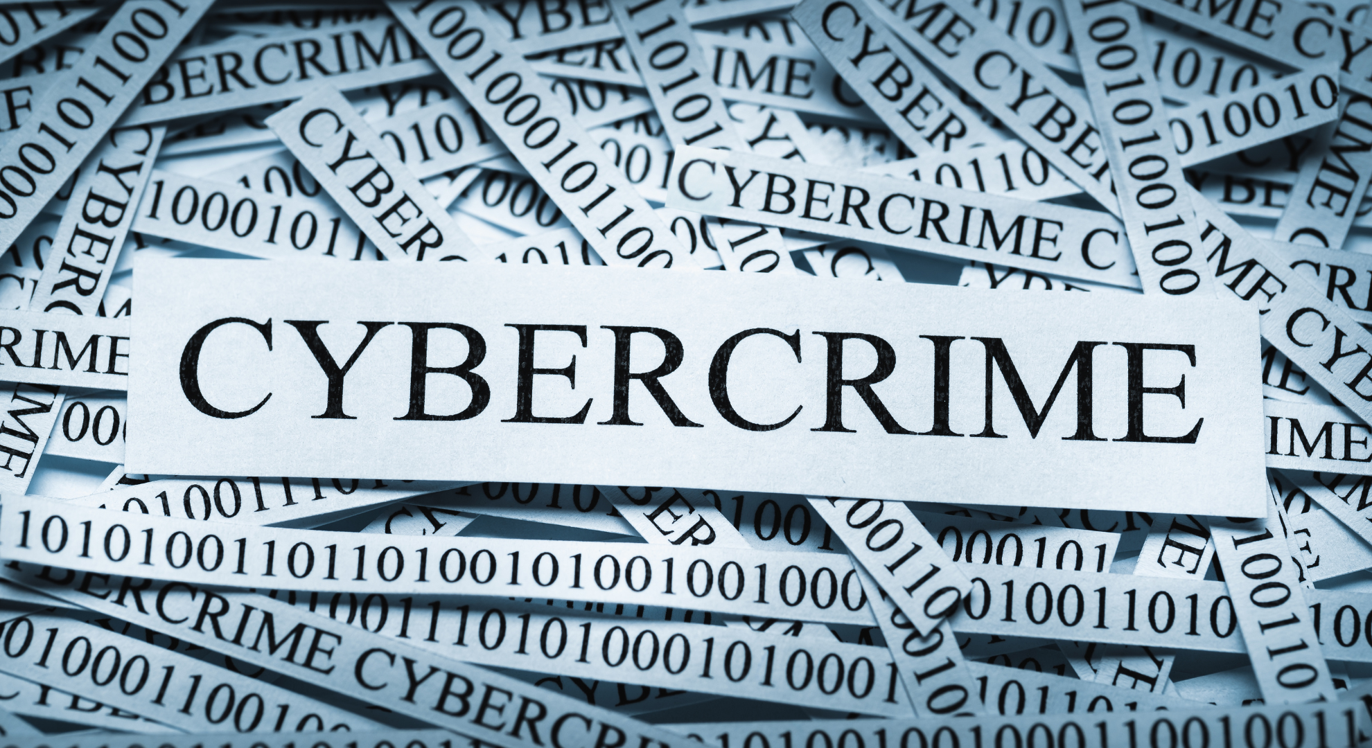 Cybercriminal Network Bust Europol